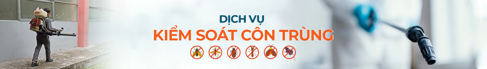 Dịch vụ kiểm soát côn trùng
