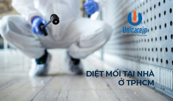 diệt mối tại nhà tp.hcm
