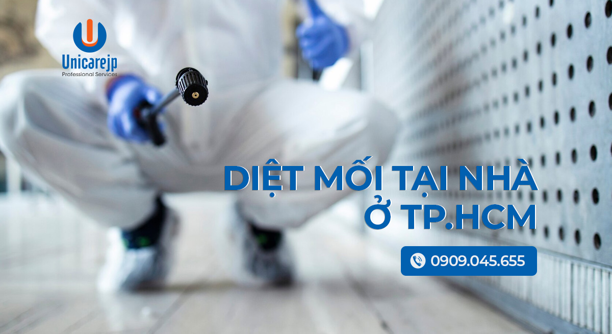 diệt mối tại nhà tp.hcm