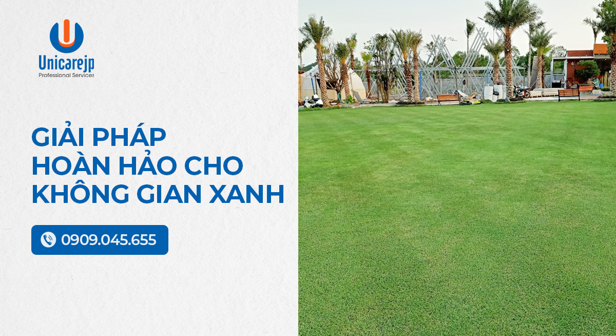 Dịch vụ cắt cỏ tại TPHCM