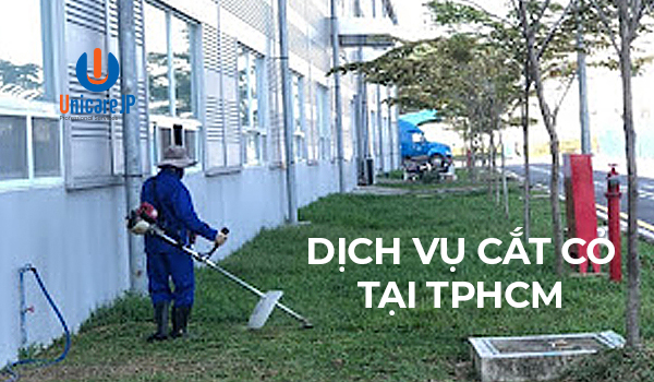 Dịch vụ cắt cỏ tại TPHCM