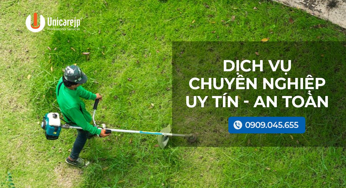 Dịch vụ phát hoang tại quận 9 – Dịch vụ chuyên nghiệp