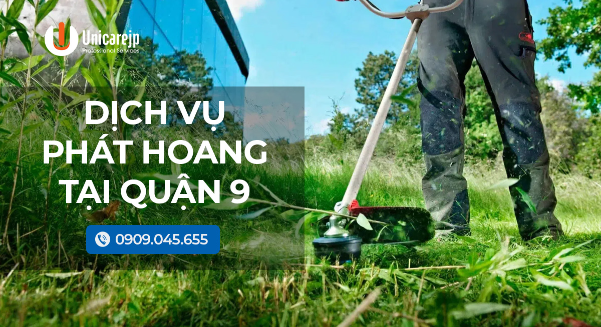 Dịch vụ phát hoang tại quận 9 – Dịch vụ chuyên nghiệp