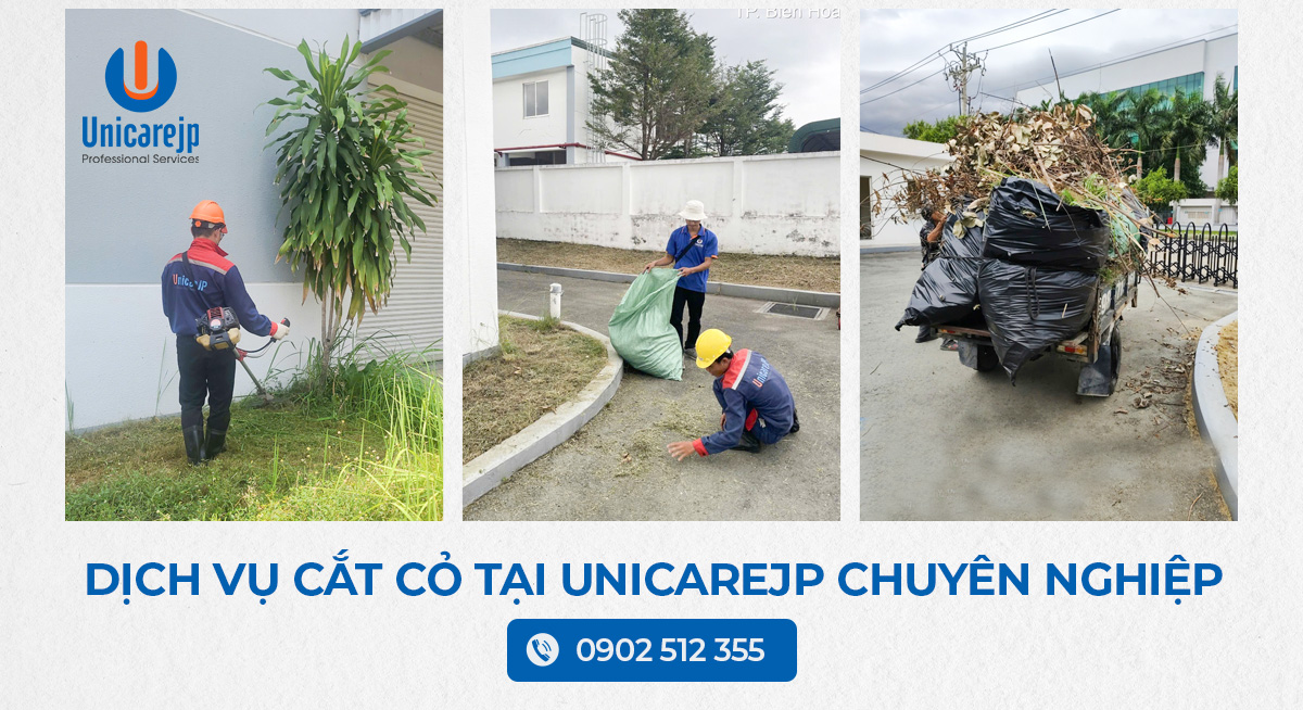 Dịch vụ cắt cỏ tại quận 1