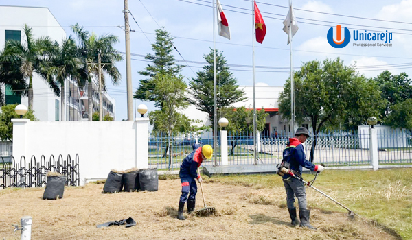 Dịch vụ cắt cỏ tại quận 1