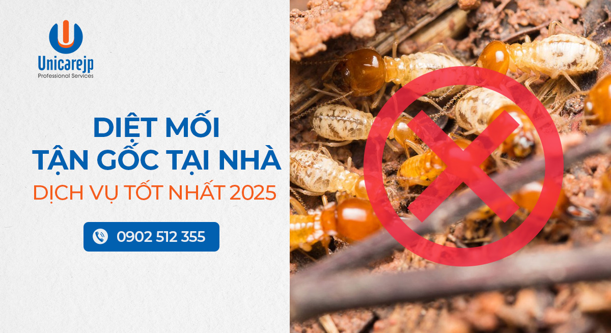 Diệt mối tận gốc tại nhà