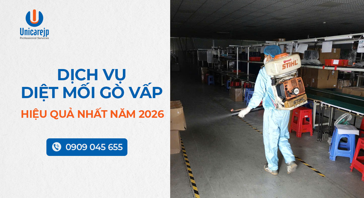 Dịch vụ diệt mối Gò Vấp hiệu quả nhất năm 2026