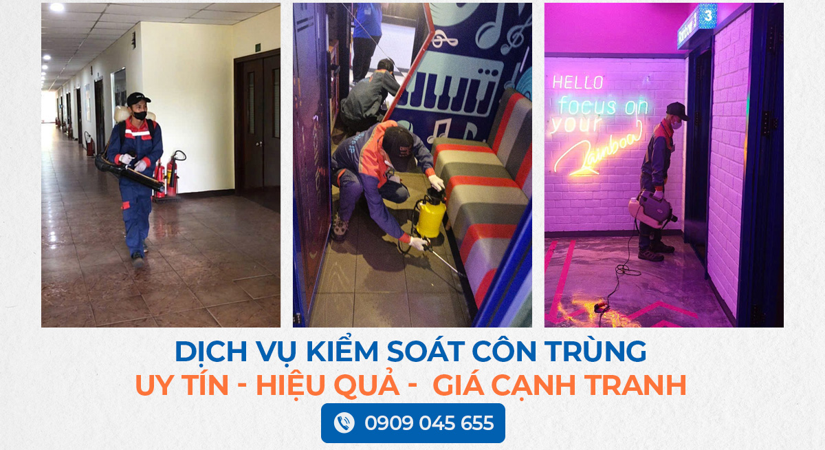 dịch vụ kiểm soát côn trùng