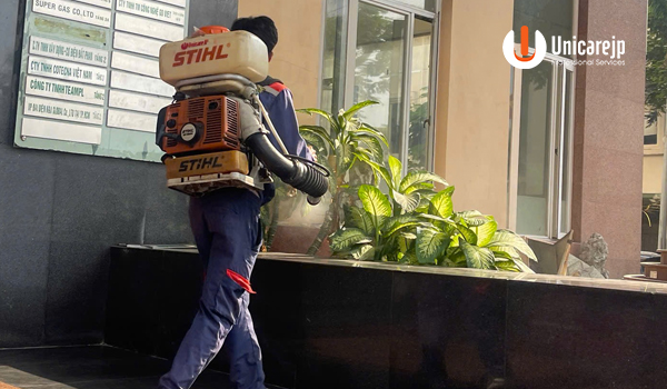 Diệt mối tận gốc tại quận Gò Vấp