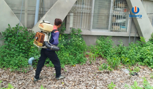 Dịch Vụ Kiểm Soát Côn Trùng Toàn Diện