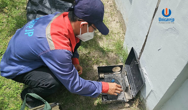 Dịch Vụ Kiểm Soát Côn Trùng Định Kỳ Chuyên Nghiệp