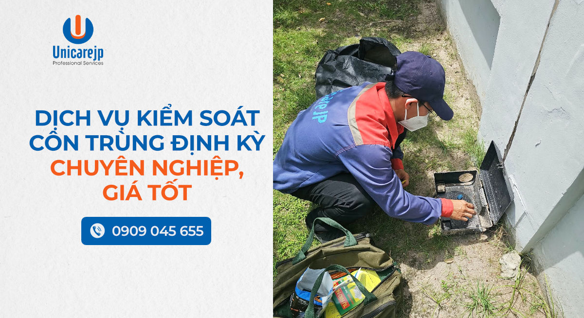 Dịch Vụ Kiểm Soát Côn Trùng Định Kỳ Chuyên Nghiệp