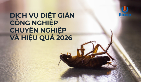 Dịch Vụ Diệt Gián Công Nghiệp Chuyên Nghiệp Và Hiệu Quả 2026